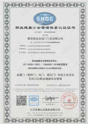 ISO9001职业健康管理体系